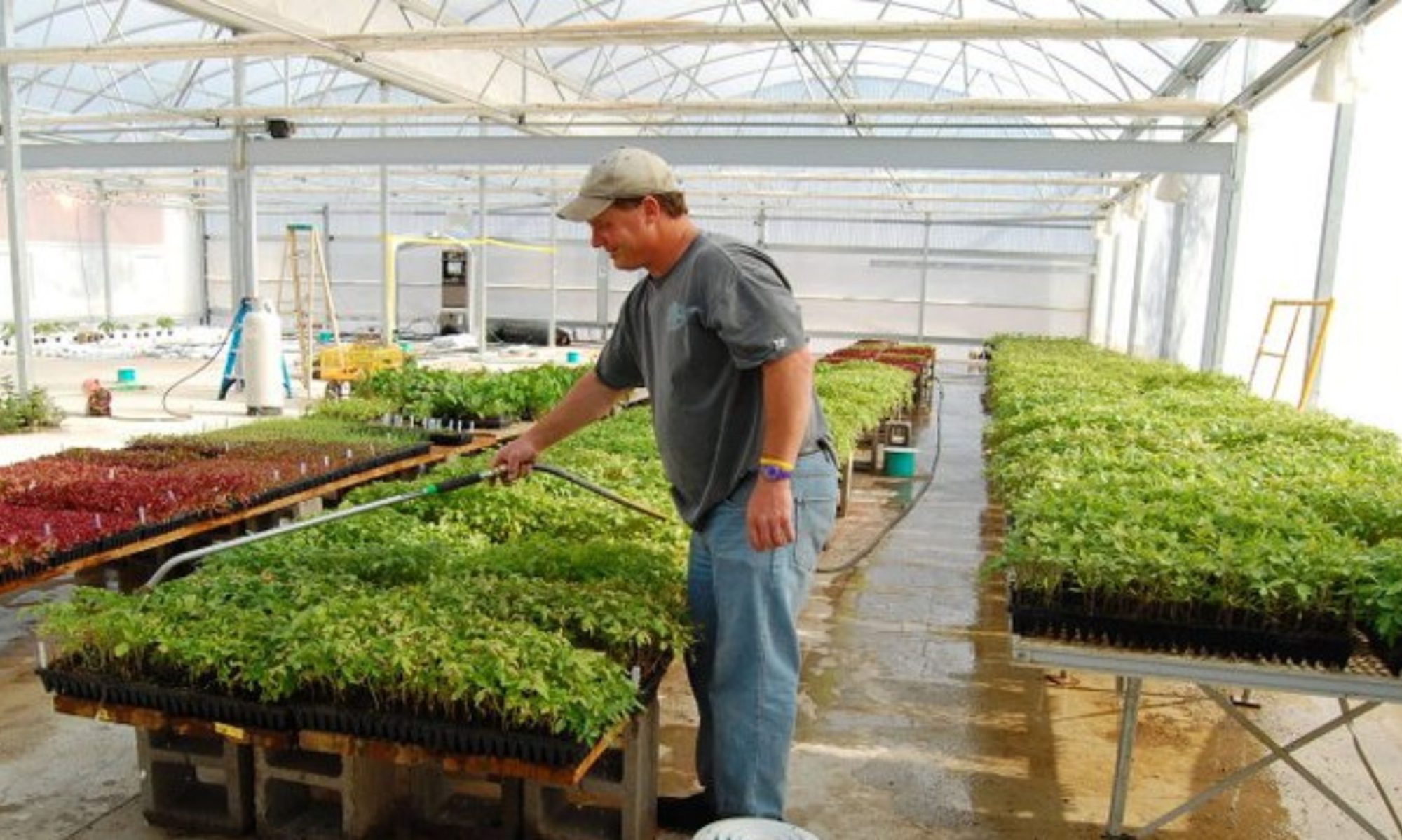 cropped-cropped-7000-sq.-ft-Geo-Thermal-GREENHOUSE.jpg